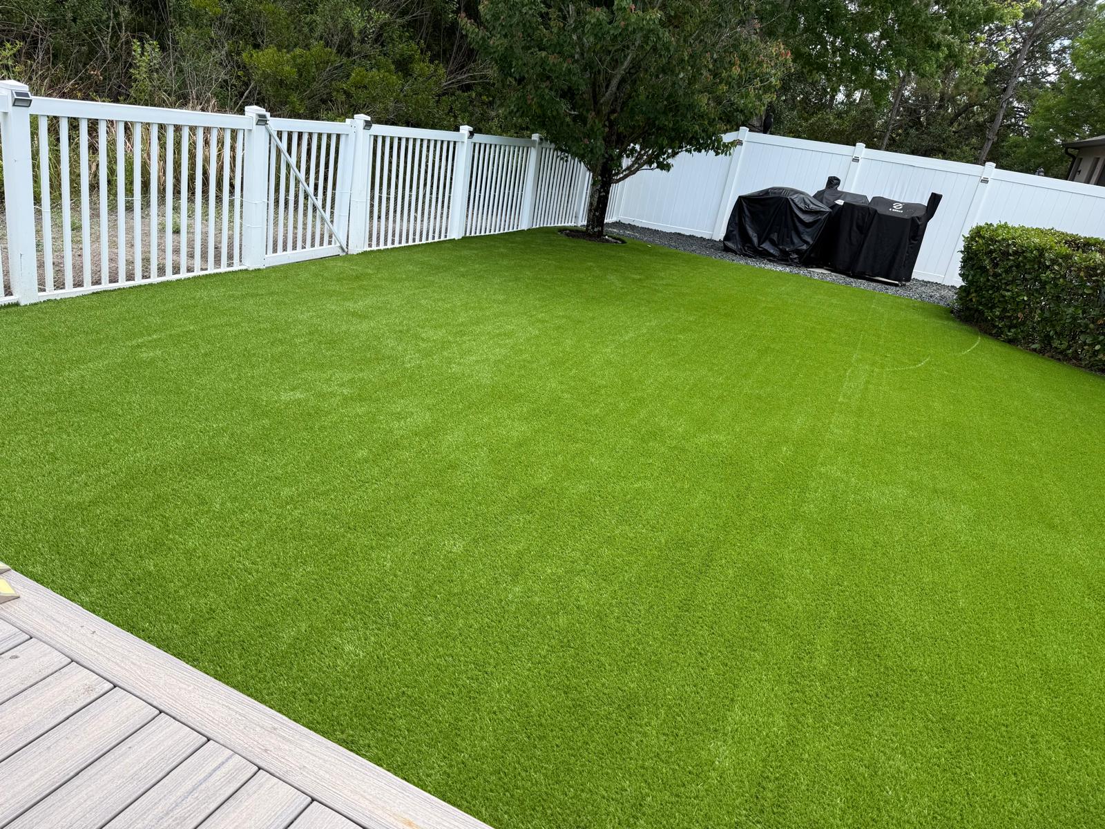 Premium backyard turf and landscape design in Tampa
